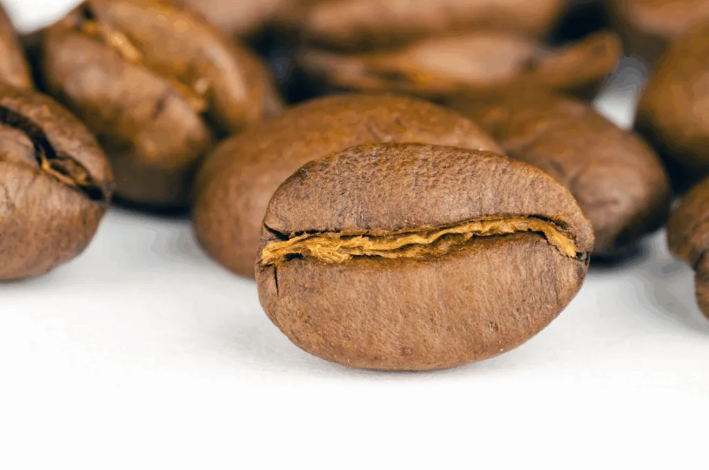 Light Roasterd Organic Espresso Beans in a close-up shot