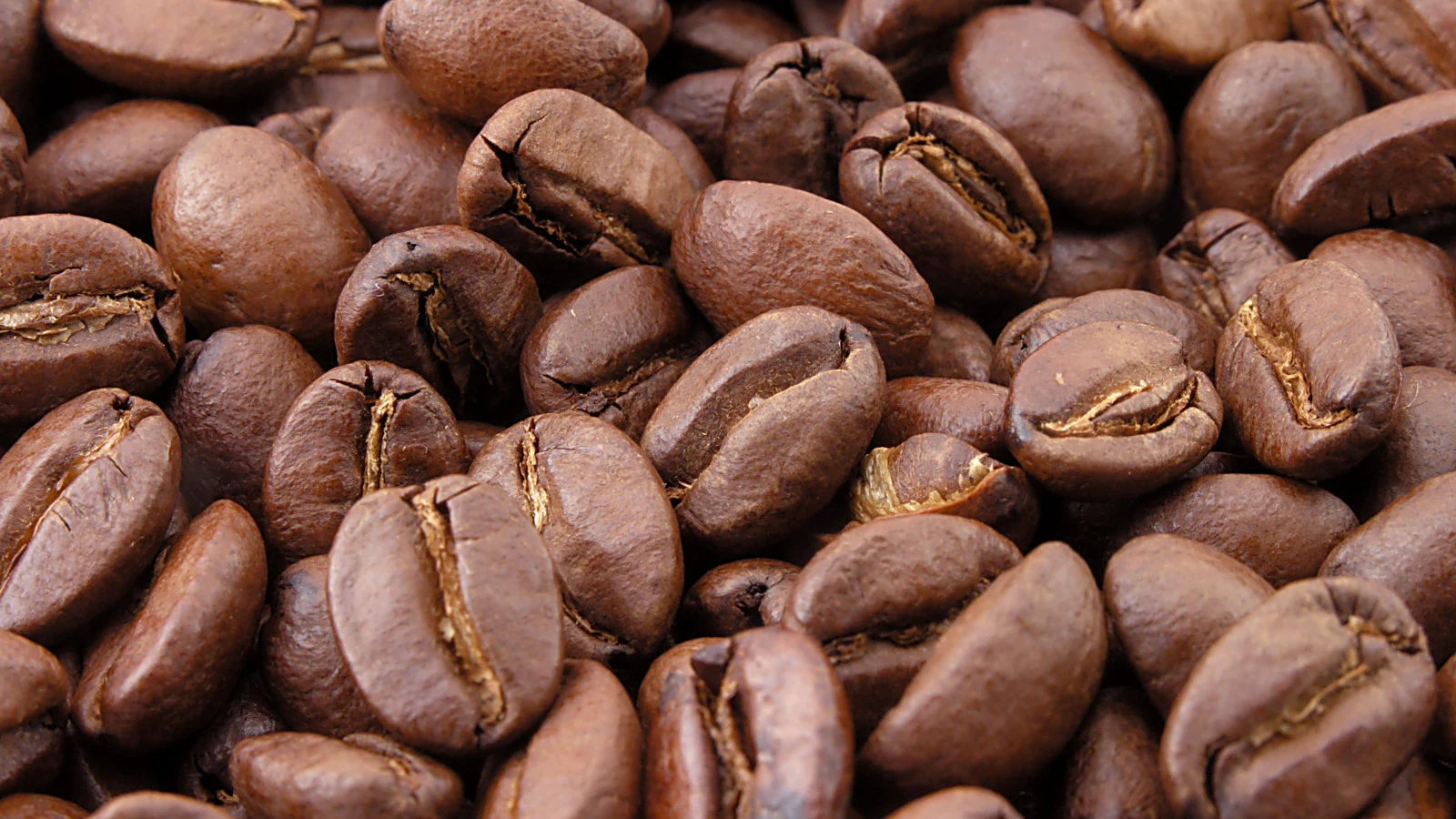 Best Espresso Beans for Sale: 5 Reliable Bags Worth Rebuying