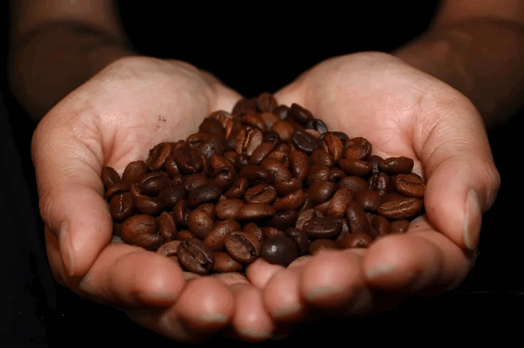 dark roasted organic espresso beans